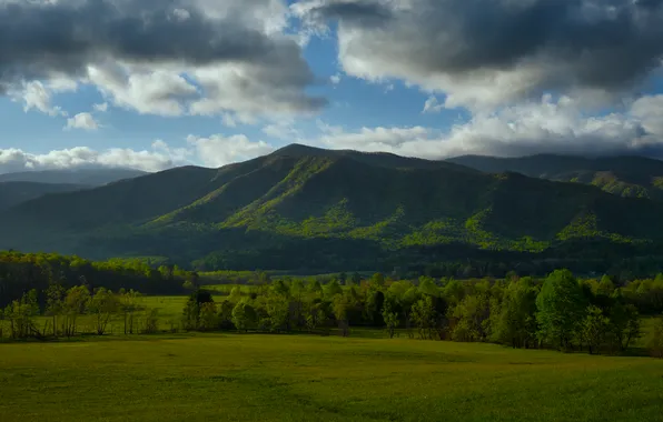 Picture grass, forest, sky, trees, field, landscape, nature, mountains