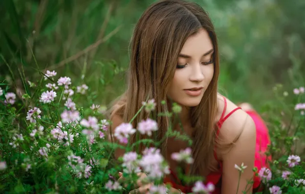 Grass, girl, flowers, dress, Sergey Gokk