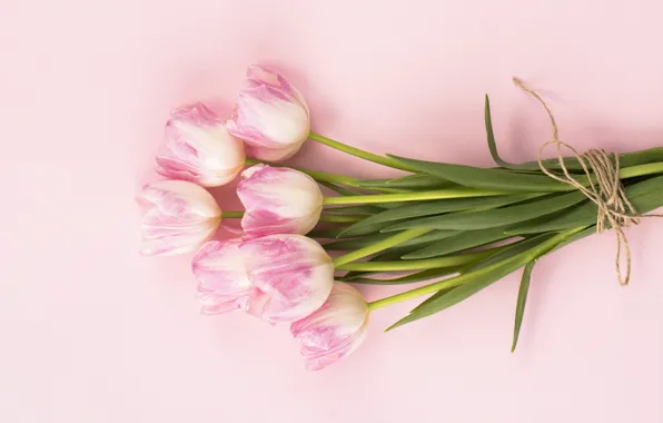 Flowers, bouquet, tulips, pink, pink, flowers, tulips