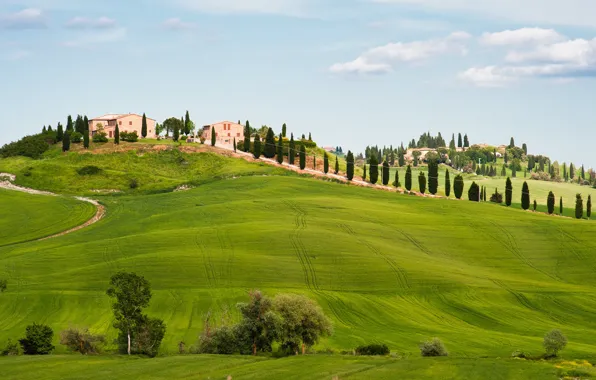 Picture Italy, Tuscany, Val d'orcia