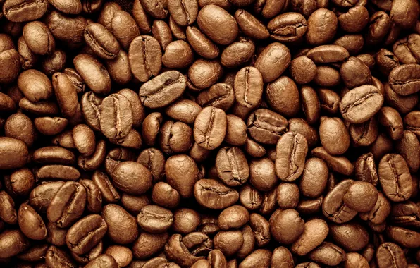 Picture background, coffee, grain, texture, background, beans, coffee, roasted