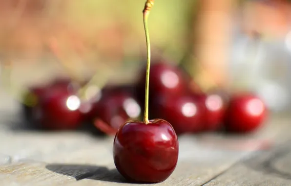 Macro, cherry, background
