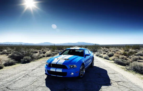 Blue, Ford, Shelby gt 500