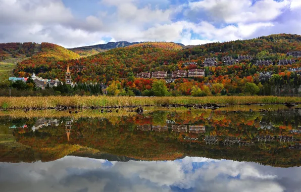 Picture autumn, trees, mountains, the city, river