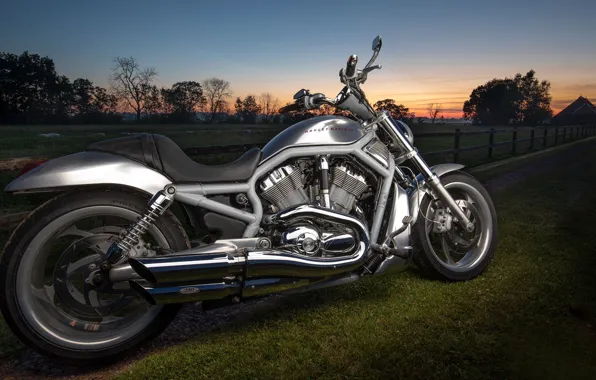 Motorcycle, Harley-Davidson, Harley-Davidson V-Rod, Harley-Davidson VRSC