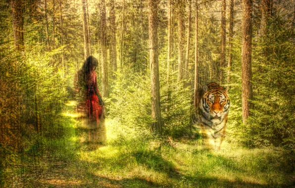 Forest, girl, tiger, style, texture