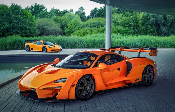 Picture orange, coupe, McLaren, Senna, MSO, 2020, two-door, Senna LM