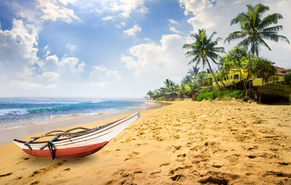 Sand, sea, beach, palm trees, shore, summer, beach, sea