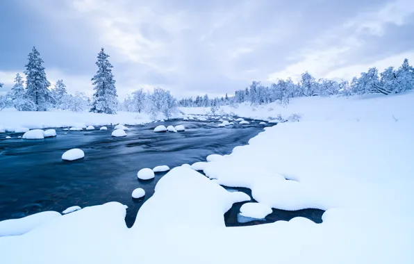 Picture winter, snow, trees, landscape, river, forest, river, trees