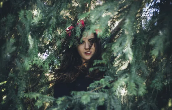 Picture girl, branches, brunette