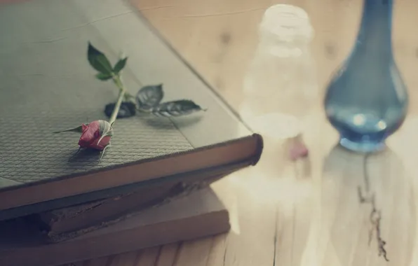 Picture flower, table, rose, books, vase, creases