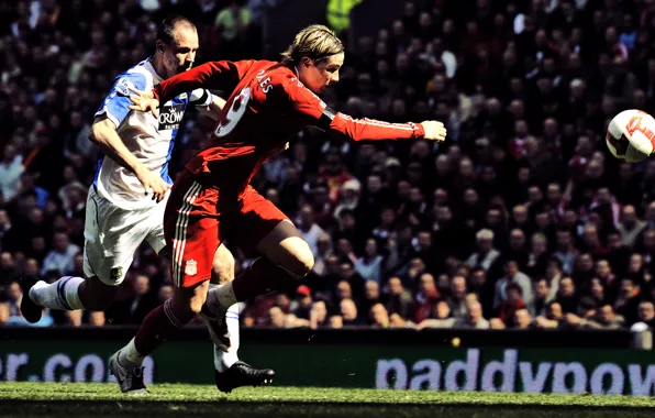 Sport, sport, Fernando Torres, Liverpool, fernando torres, football clubs