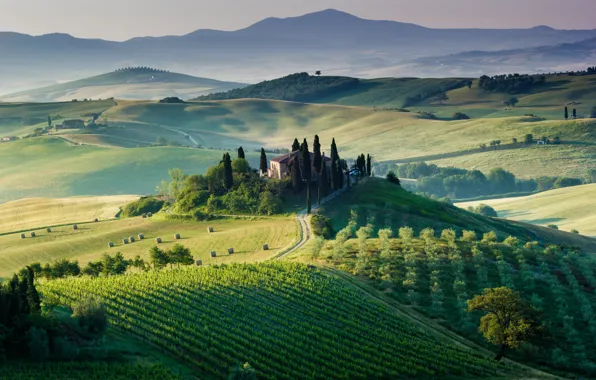 Trees, house, field, Italy, the vineyards, Tuscany