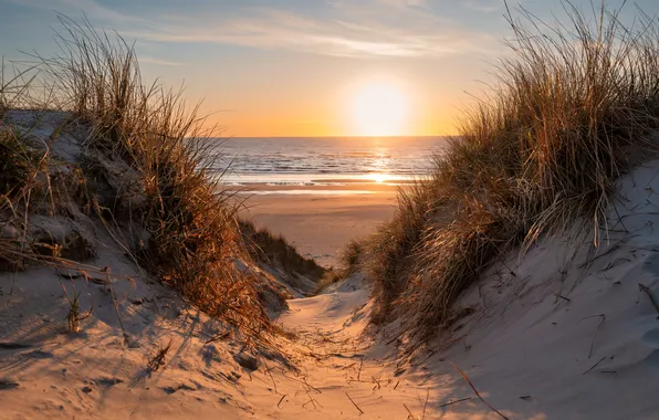 Sea, beach, sunset, shore, dunes