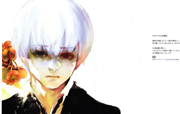 Pain, gray, Ken Kanek, Tokyo Ghoul, obsessed, tokyo Ghoul