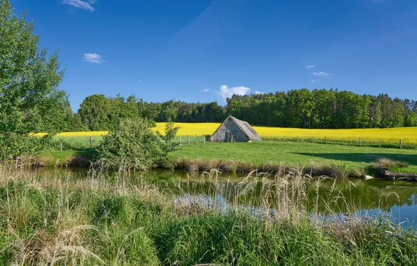 Field, river, shed