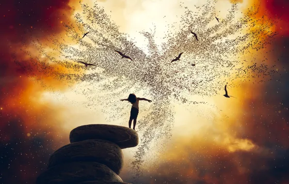 The sky, dream, space, stars, light, flight, sunset, birds