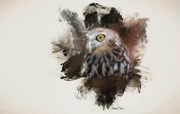Picture eyes, background, owl, bird