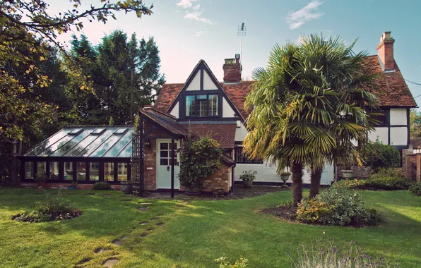 Grass, trees, palm trees, home, mansion