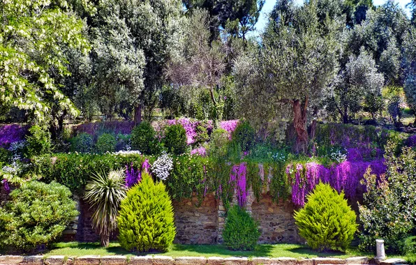 Trees, flowers, Park, the bushes, Turkey, Izmir