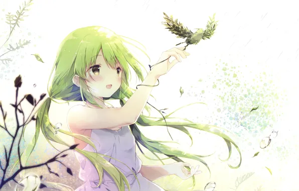 Bird, Girl, Anime, Green hair
