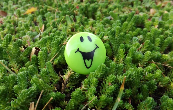 Picture GREENS, SMILEY, MACRO, SMILE, SPRING, LAWN