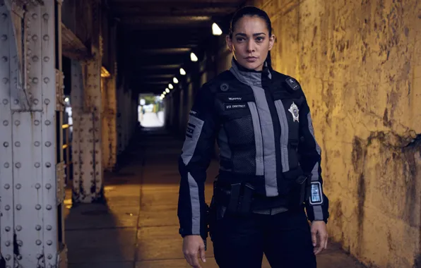 Corridor, form, the series, Natalie Martinez, Natalie Martinez, Teresa Murphy, police TV series, In the …