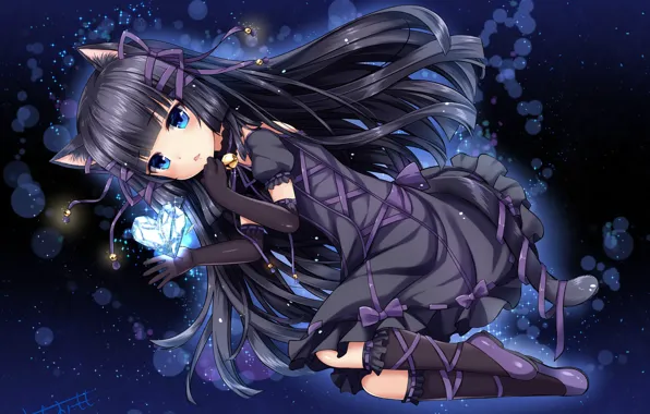 Picture girl, brunette, neko