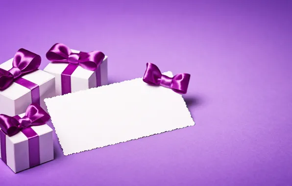 Gift, tape, bow, box, present, gift, bow, puple