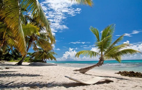 Sand, sea, beach, palm trees, shore, summer, beach, sea