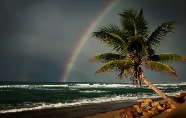 Beach, clouds, tropics, Palma, the ocean, rainbow