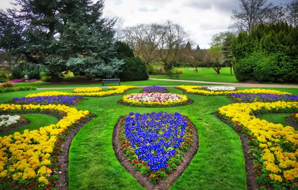 Grass, clouds, trees, flowers, clouds, Park, lawn, England