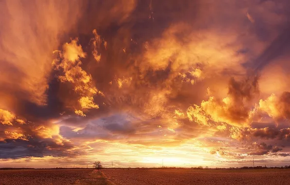Field, the sky, clouds, sunset