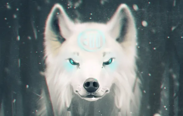 Picture snow, sign, Wolf