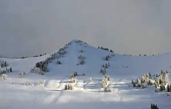 Winter, snow, trees, mountains, nature, hills