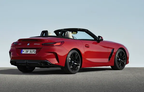 Picture red, BMW, Roadster, rear view, BMW Z4, First Edition, M40i, Z4