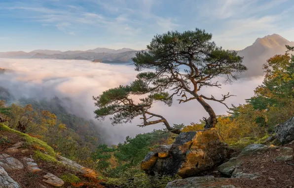 Picture clouds, trees, landscape, mountains, nature, stones, rocks, South Korea