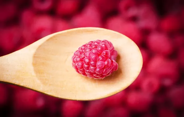 Picture macro, raspberry, berry, spoon