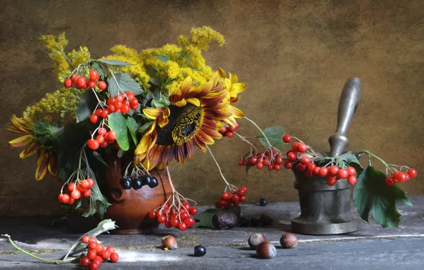 Sunflower, bouquet, pitcher, nuts, still life, mortar, Kalina