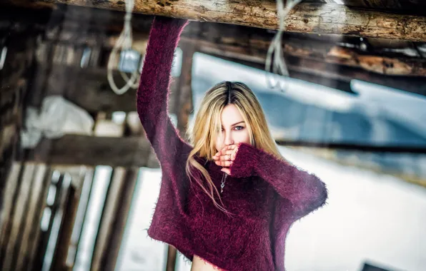 Look, the barn, sweater, Veronica, log