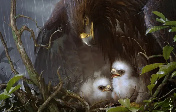 Leaves, birds, rain, eagle, art, socket, care, Chicks