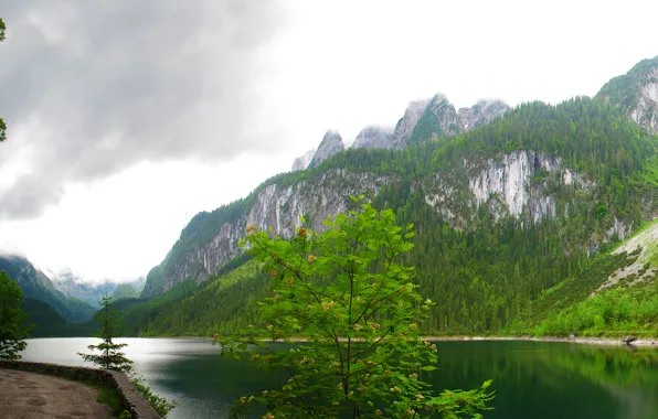 Forest, clouds, trees, mountains, lake, rocks, Austria, Gosausee