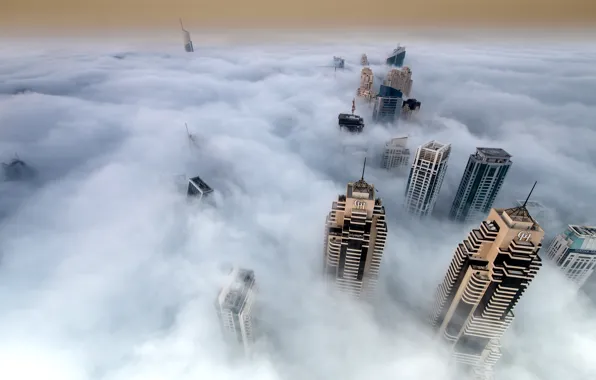 Fog, skyscrapers, The city, dense