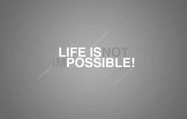 Picture text, meaning, by Robin de Blanche, life Is Possible