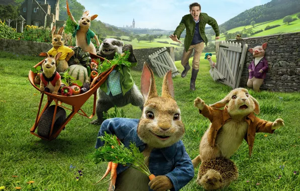 Cartoon, rabbits, pig, guy, Peter Rabbit, Peter Rabbit