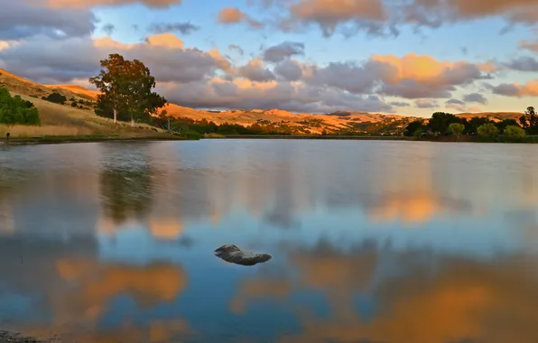 Clouds, trees, lake, reflection, the evening