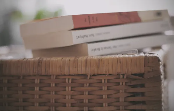 Basket, book, basket, netting