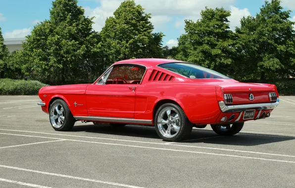 Red, Mustang, Ford, muscle car, Muscle car