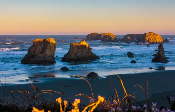 Picture sand, sea, wave, beach, the sky, grass, light, rocks
