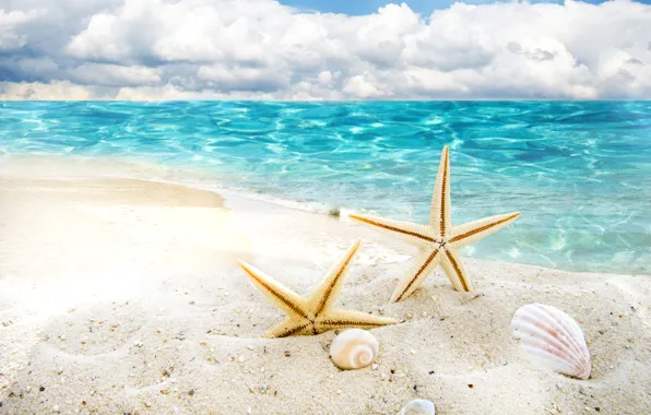 Sea, the sky, clouds, coast, shell, starfish